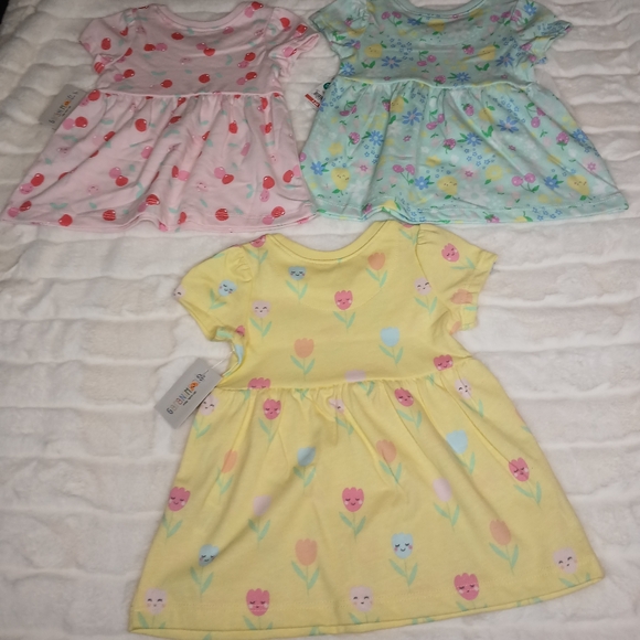 Baby Girl Dresses (Set of 3) | 3-6 Months | Garanimals | NWT - Picture 7 of 9